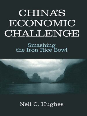 cover image of China's Economic Challenge